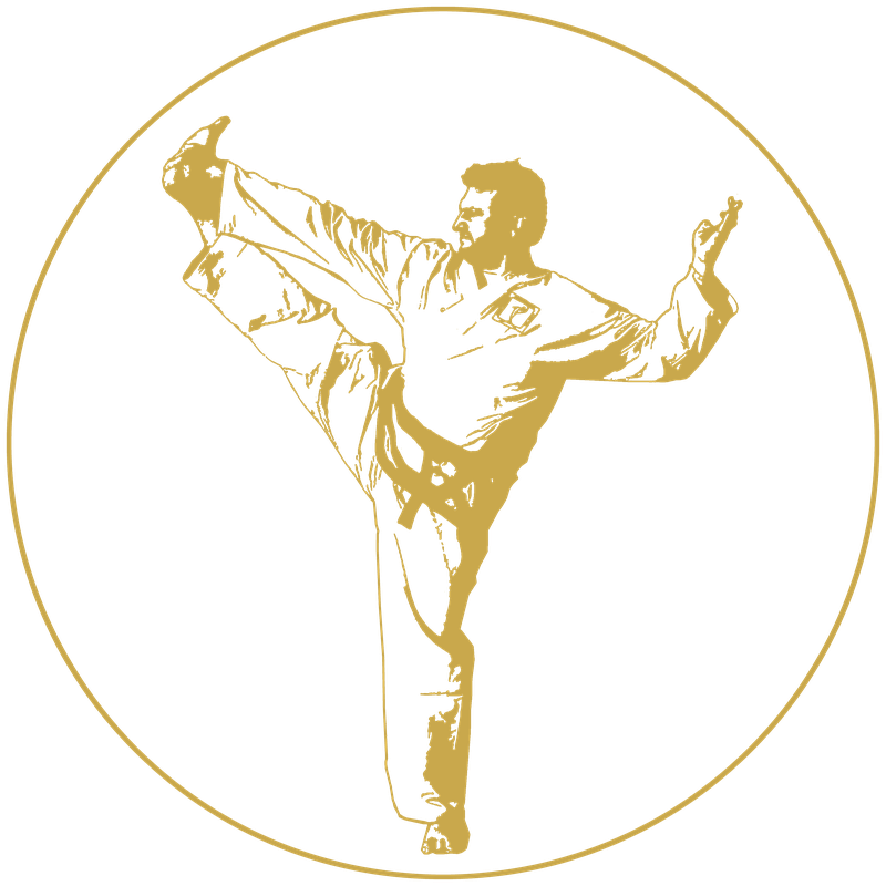 Traditional Taekwondo Batavia